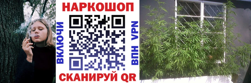 Купить наркоту Скопин Экстази  Бошки Шишки  Alpha-PVP  ГАШИШ  Меф мяу мяу  Кокаин  АМФ  Псилоцибиновые грибы 