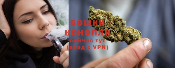прущие грибы Приозерск
