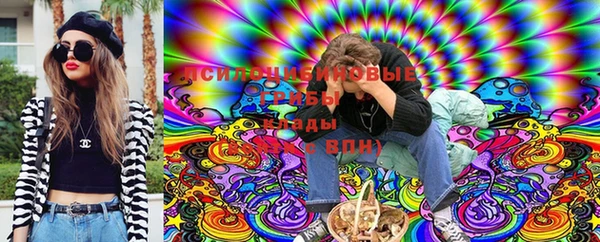 прущие грибы Приозерск