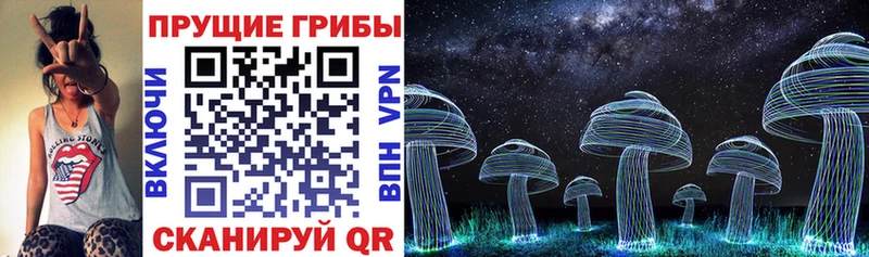 Псилоцибиновые грибы GOLDEN TEACHER  Скопин 