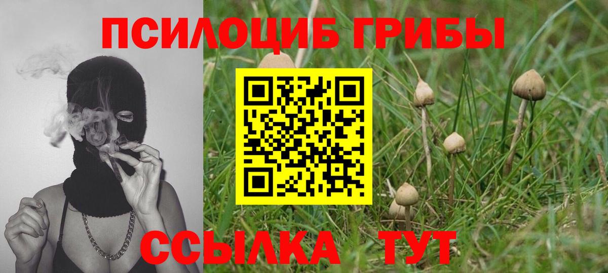 Скопин  Псилоцибиновые грибы GOLDEN TEACHER  Вход с VPN 
