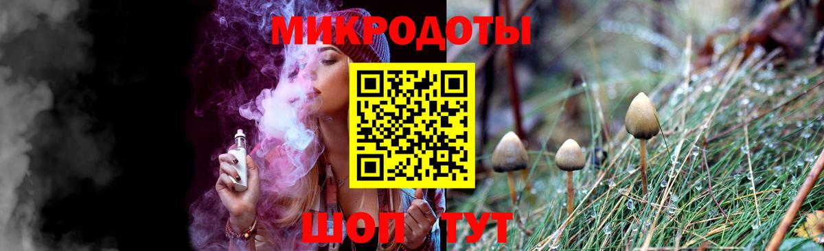 Псилоцибиновые грибы Psilocybe Скопин